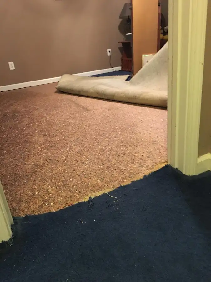 Carpet pad removal revealing water damage during Water Mitigation Services in Jackson