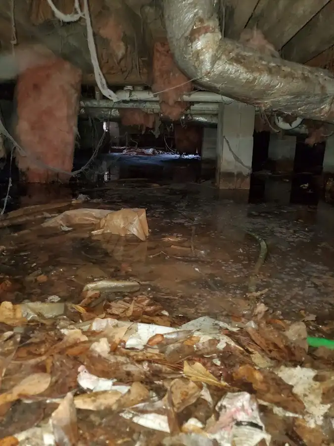 Crawl space flood assessment for Commercial Water Damage Restoration in Jackson