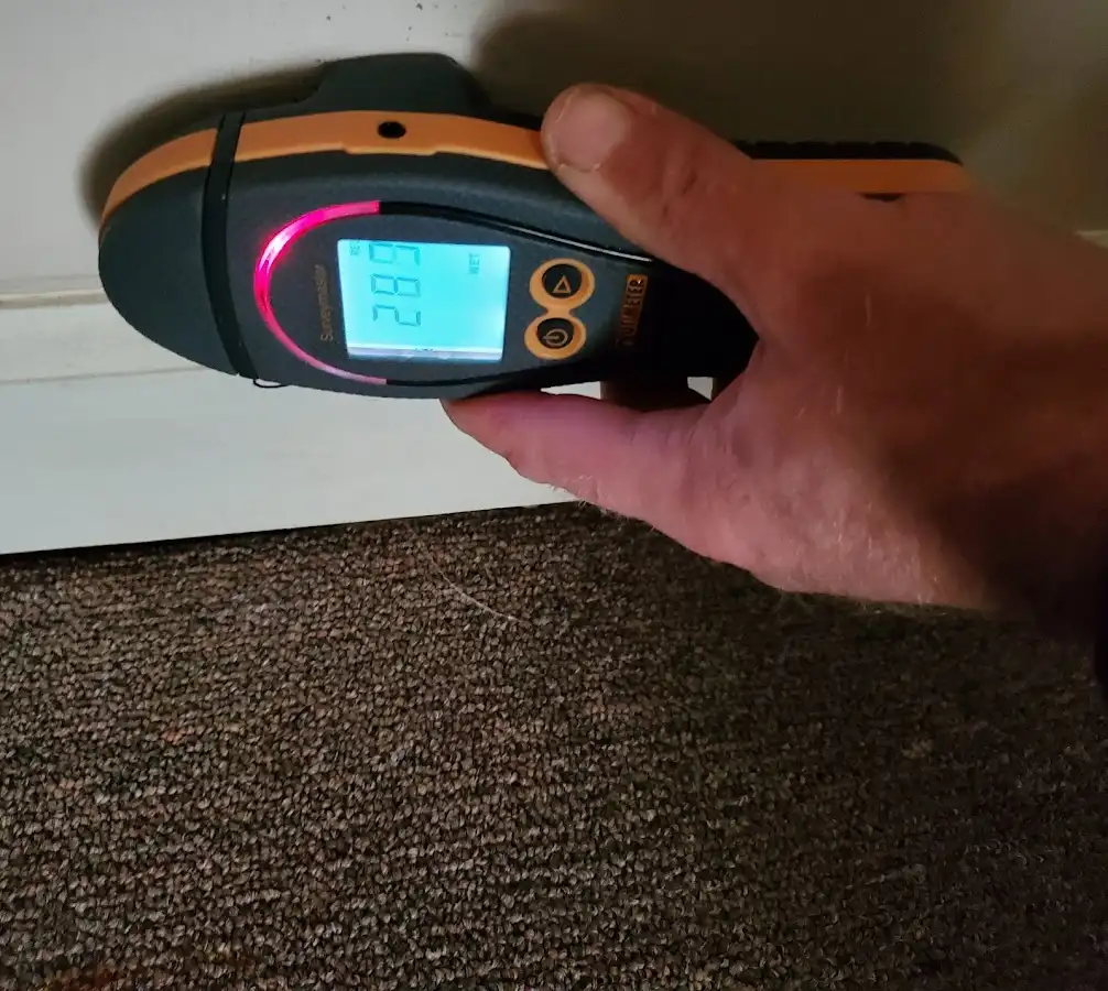 Moisture detection at baseboard during Mold Inspection & Testing in Jackson